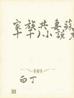 家族共妻苏苏(十千)小说免费