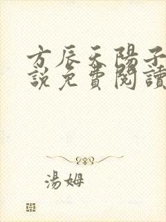 方辰天阳子的小说免费阅读