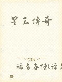 星王传奇