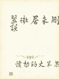 翠微居未删节小说