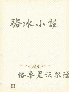 骆冰小说