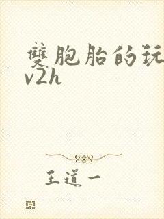 双胞胎的玩具1v2h