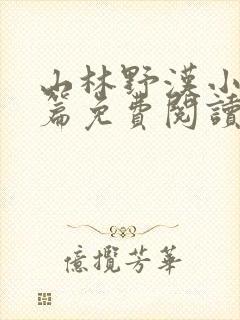 山林野汉小说全篇免费阅读