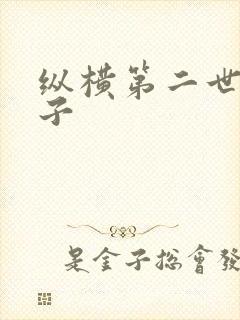 纵横第二世界宽子