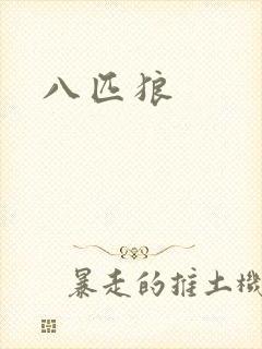 八匹狼