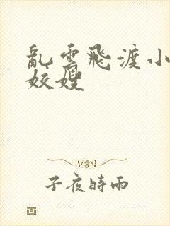 乱云飞渡小说之姣嫂