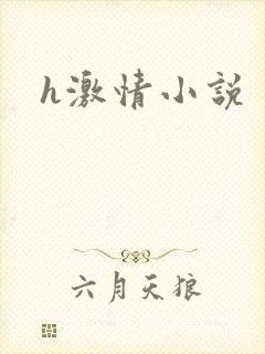 h激情小说
