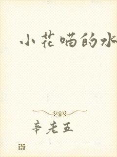小花喵的水蜜桃