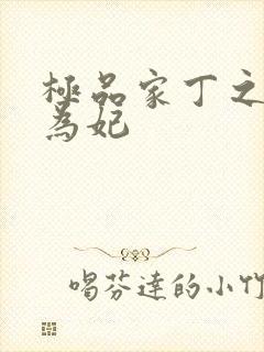 极品家丁之册母为妃