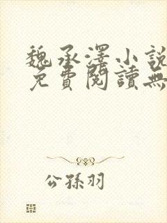 魏承泽小说全文免费阅读无弹窗笔趣