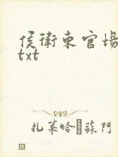 侯卫东官场笔记txt