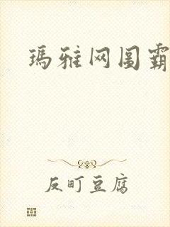 玛雅网图霸天下