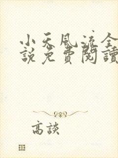 小天风流全集小说免费阅读