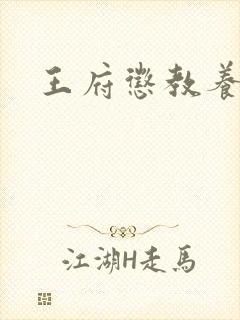 王府惩教养日常