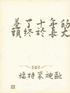 养了十年的小丫头终于长大了