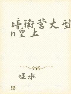 暗卫营大型hpn皇上