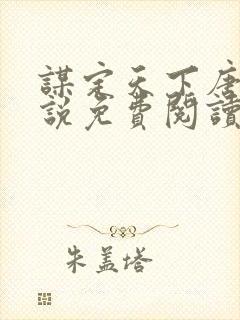 谋定天下唐诚小说免费阅读