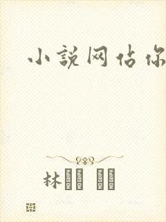 小说网站你懂的