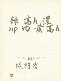 辣 高h 浓 np 肉 黄高h
