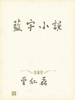 蓝宇小说