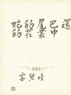 蛇的尾巴还在我的花丛中