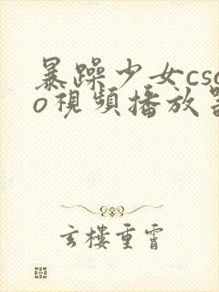 暴躁少女csgo视频播放器推荐