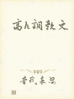 高h调教文