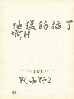 他猛的插了进去啊H