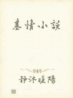 基情小说