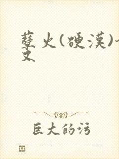 孽火(硬汉)今又