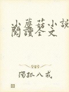 小蘑菇小说免费阅读全文