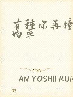 有种你再撞一下肉车