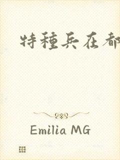 特种兵在都市