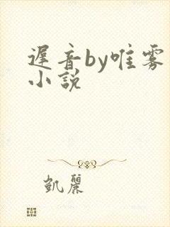 迟音by唯雾的小说