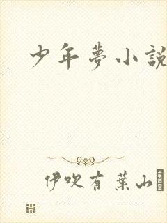 少年梦小说