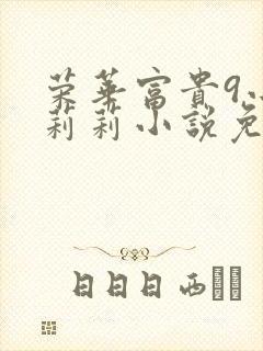 荣华富贵9小王莉莉小说免费阅读