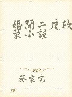 婚开二度欣欣向荣小说