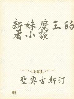 新妹魔王的契约者小说