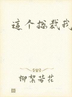 这个总裁我要了