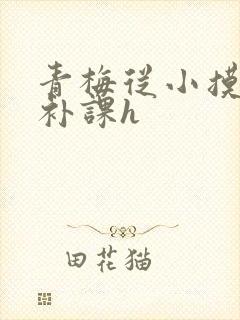 青梅从小摸到大补课h