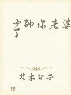 少帅你老婆又跑了