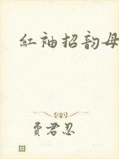 红袖招韵母攻略