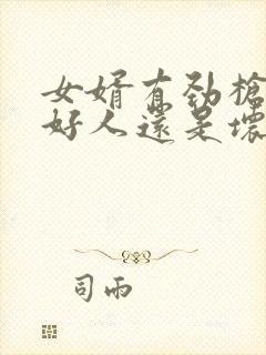 女婿有劲枪枪是好人还是坏人