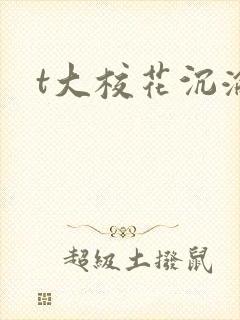 t大校花沉沦