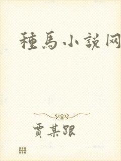 种马小说网