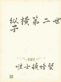 纵横第二世界宽子