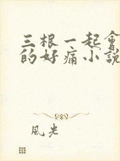 三根一起会坏掉的好痛小说