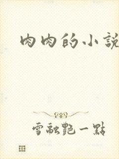 肉肉的小说
