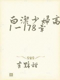 白洁少妇高义第1一178章