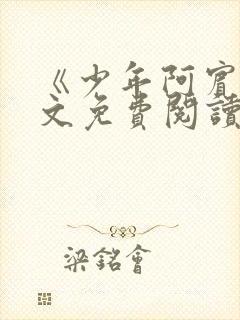 《少年阿宾》全文免费阅读